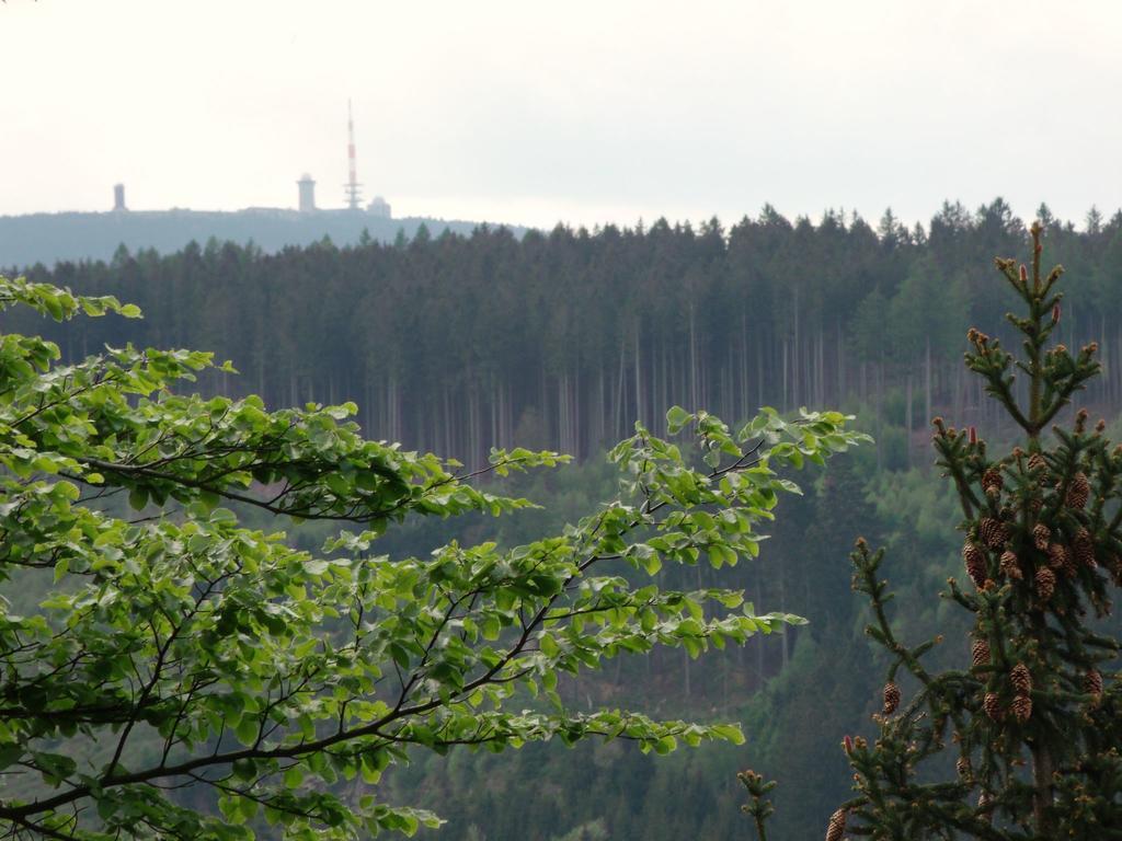 Cozy Apartment In Braunlage Near Forest Hohegeiß Extérieur photo